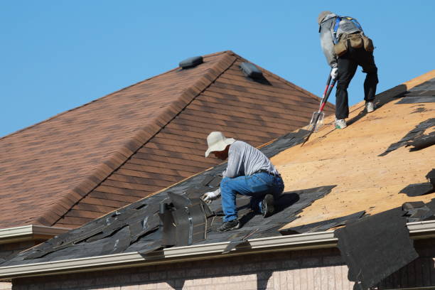 Best Roof Insulation Installation  in Level Plains, AL