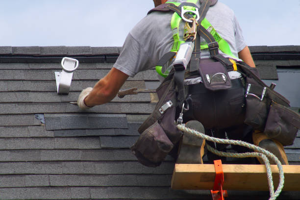 Best Chimney Flashing Repair  in Level Plains, AL