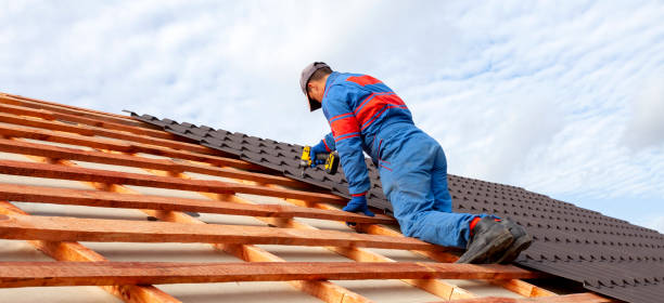 Best Commercial Roofing Services  in Level Plains, AL