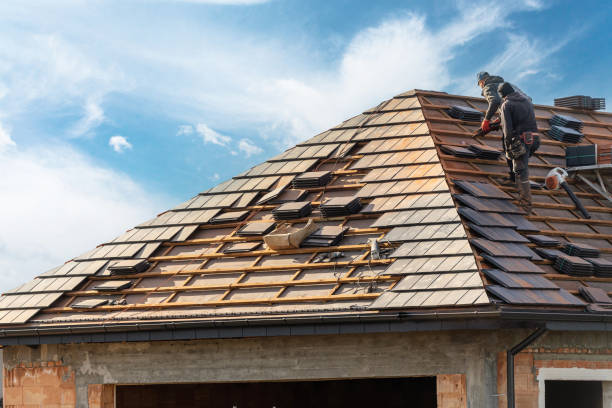 Best Emergency Roof Repair Services  in Level Plains, AL