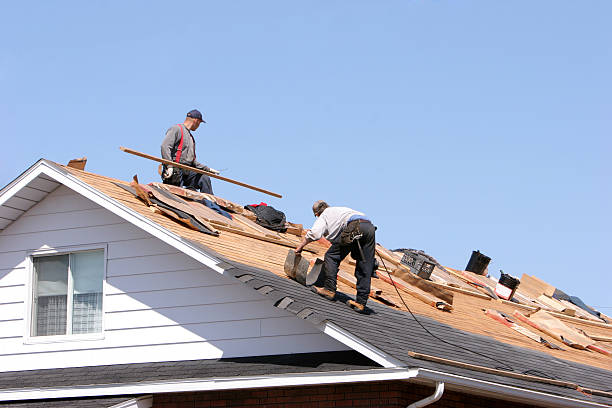 Best Wood Shake Roofing  in Level Plains, AL