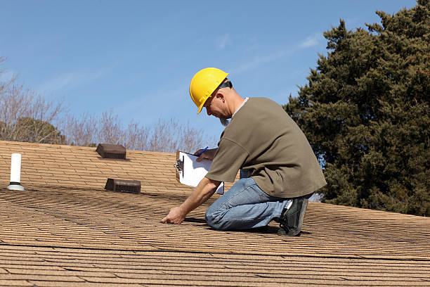 Best Roof Installation  in Level Plains, AL